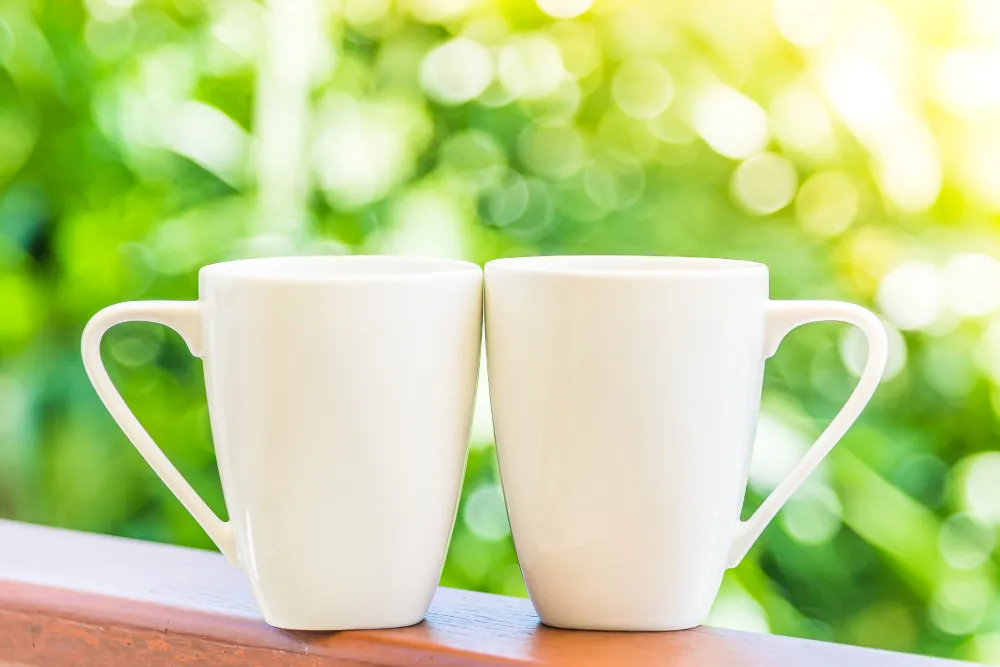 9 Jenis Mug Yang Paling Cocok Untuk Acara dan Branding Mug V