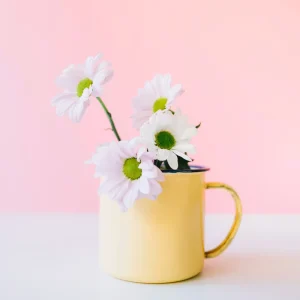 Fungsi Lain Mug